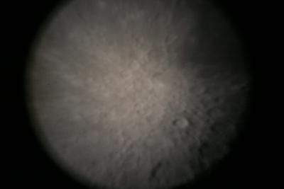 img_7338.jpg